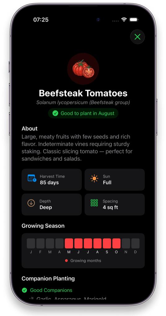 Niwa app tomato plant page showing good companions garlic, asparagus and marigold along with growing season and spacing